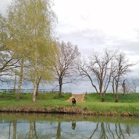 Franko Tanya Vendeghaz Сasa de vacaciones *