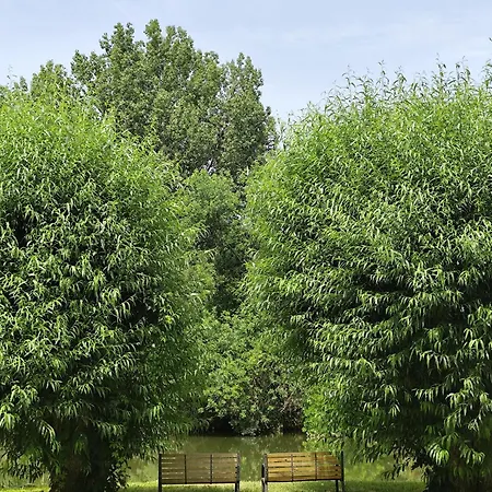 Сasa de vacaciones Franko Tanya Vendeghaz *