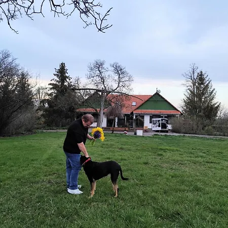 Franko Tanya Vendeghaz * Szarvas