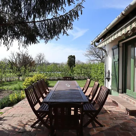 Franko Tanya Vendeghaz