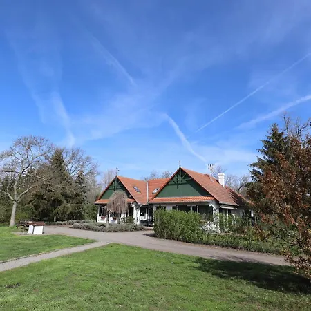 Franko Tanya Vendeghaz *