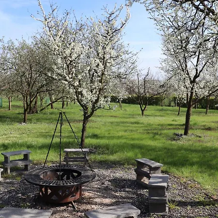 Franko Tanya Vendeghaz Szarvas