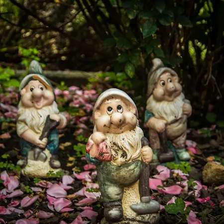 Franko Tanya Vendeghaz * Szarvas