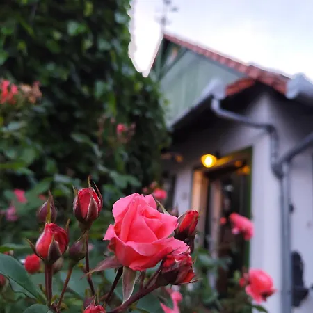 Franko Tanya Vendeghaz Сasa de vacaciones