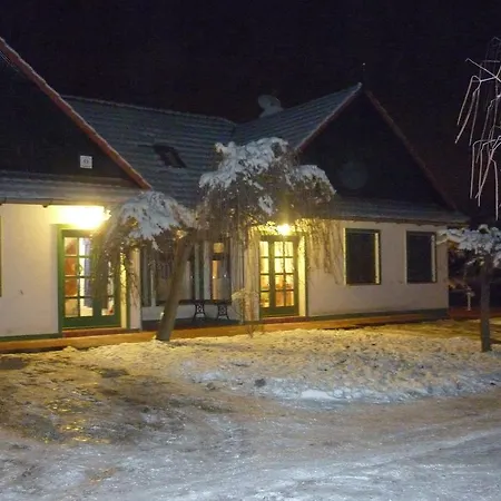 Franko Tanya Vendeghaz *