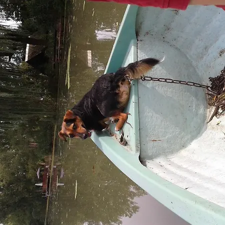 Сasa de vacaciones Franko Tanya Vendeghaz