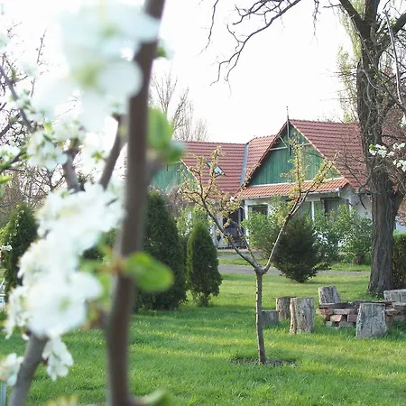 Holiday home Franko Tanya Vendeghaz *