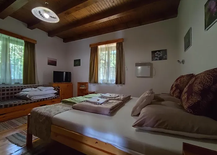 Feriehus Franko Tanya Vendeghaz Szarvas