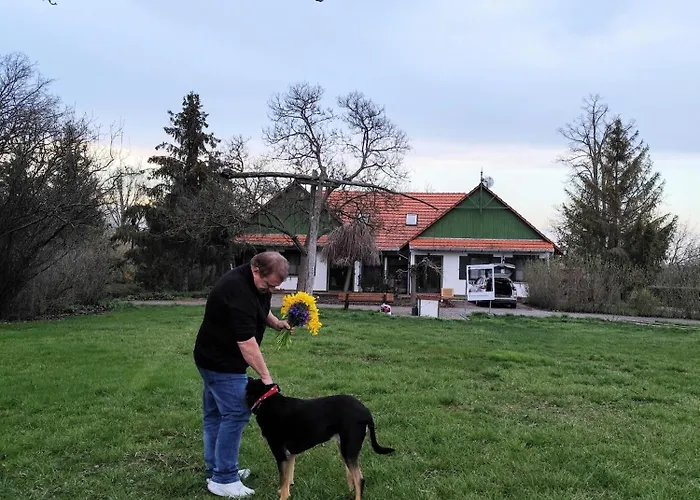 Franko Tanya Vendeghaz * Szarvas